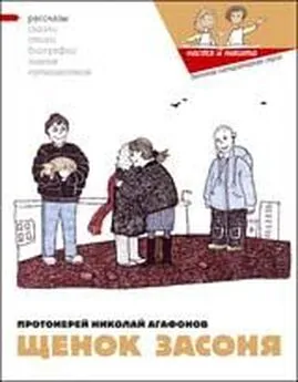 Николай Агафонов - Щенок Засоня