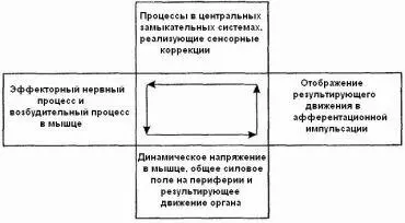 Схема 2Схема рефлекторного кольца Верштейн 1947 с 30 В связи с введением - фото 2