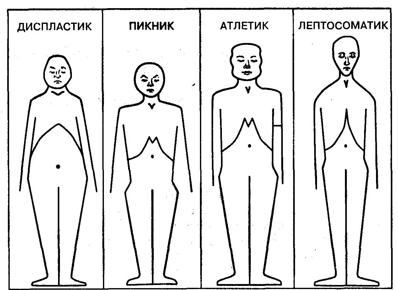 Рис 241 Конституционалъные типы по Э Кречмеру приспосабливается к - фото 150