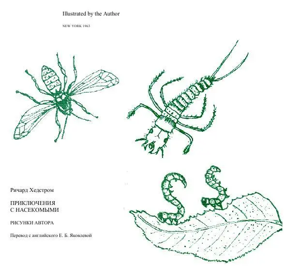 NEW YORK 1963 Ричард Хедстром ПРИКЛЮЧЕНИЯ С НАСЕКОМЫМИ РИСУНКИ АВТОРА Перевод с - фото 2