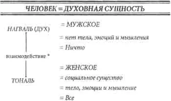 Взаимодействие духа и тоналя мужского и женского ведет к эволюции осознания - фото 4