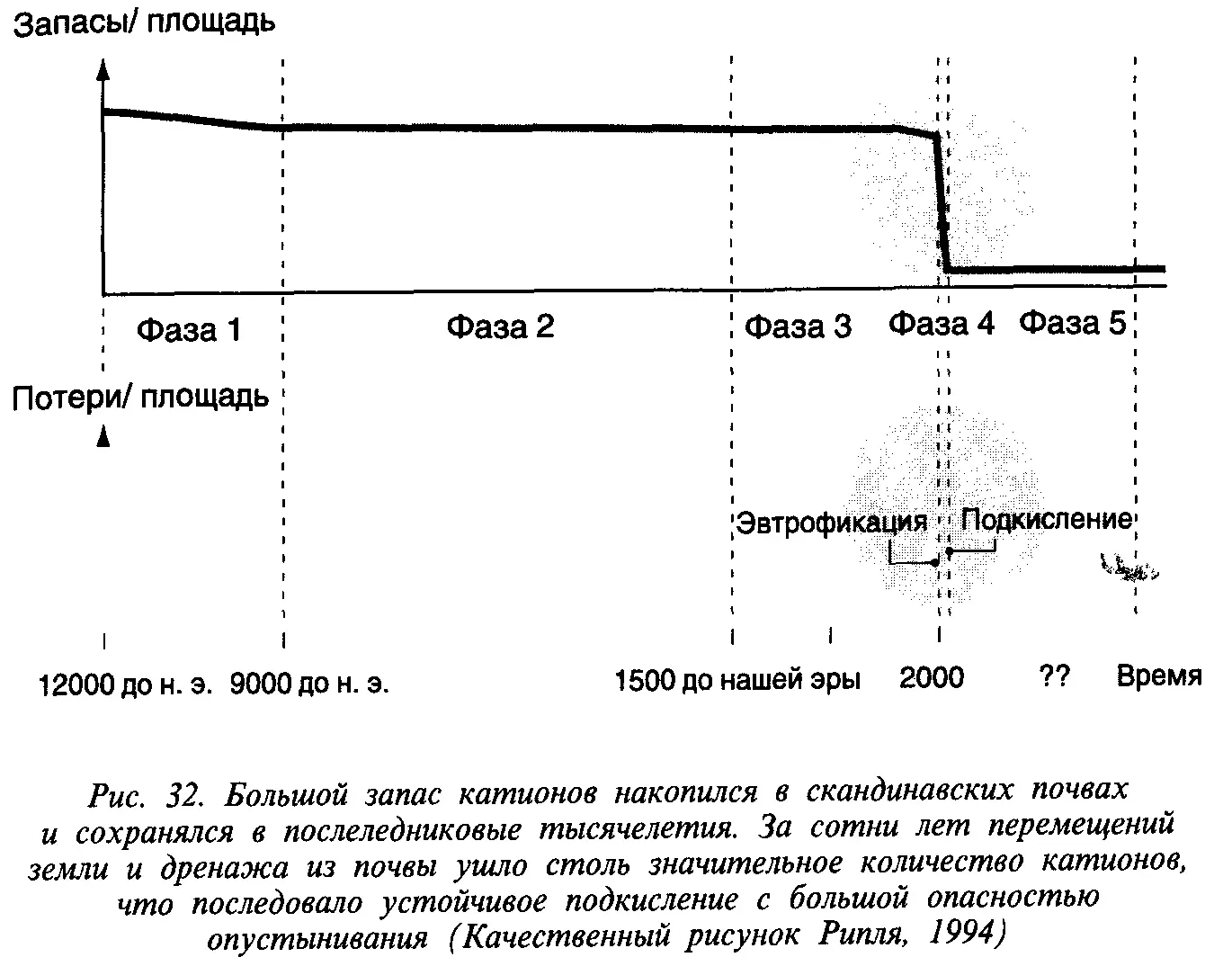 Тропические леса могут больше пострадать от добычи полезных ископаемых включая - фото 34