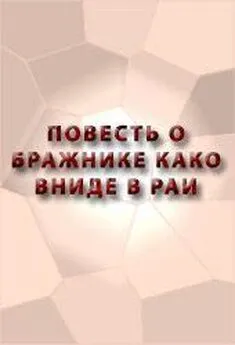 Аноним  - ПОВЕСТЬ О БРАЖНИКЕ КАКО ВНИДЕ В РАИ