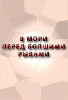 Аноним  - В МОРИ ПЕРЕД БОЛШИМИ РЫБАМИ СКАЗАНИЕ О ЕРШЕ О ЕРШОВЕ СЫНЕ,