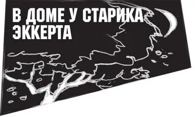 Филип Эккерт много лет прожил в старом облезлом деревянном доме что стоял - фото 57