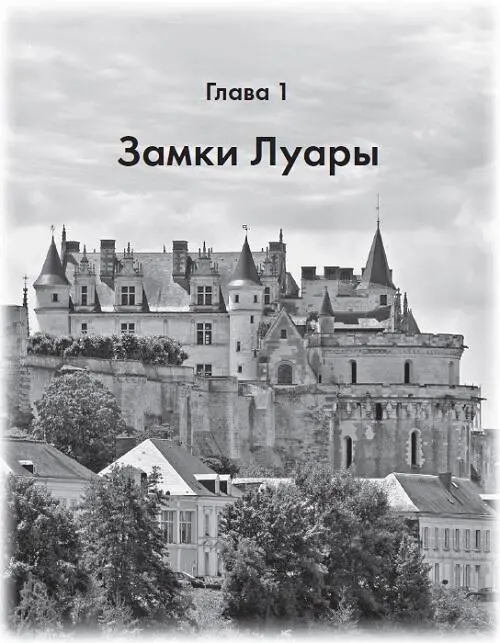 Нет не передать словами красоту замков долины Луары Ни фотографиями не - фото 8