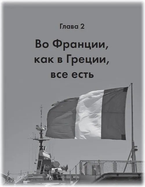 Слышу ваши возражения Ну Владимир Владимирович это вы хватанули Франция - фото 15