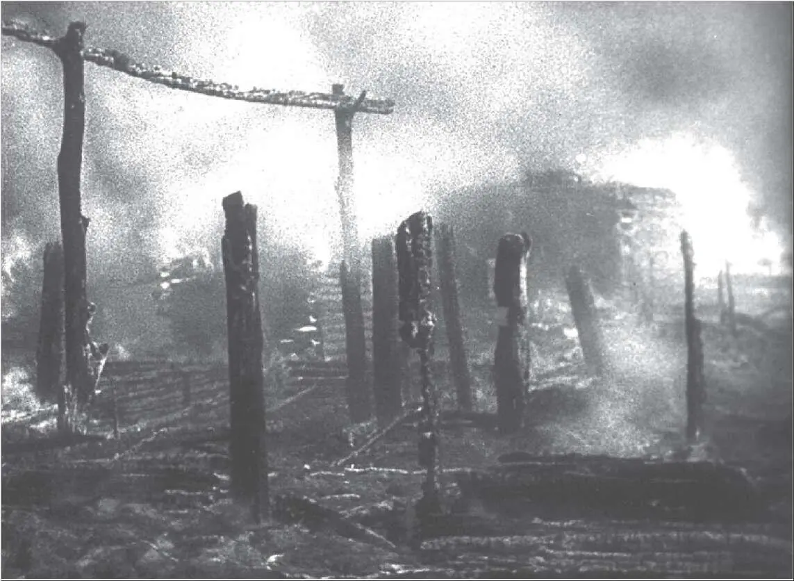 Горящая деревня Очевидно что подавляющее большинство уничтоженных советскими - фото 1