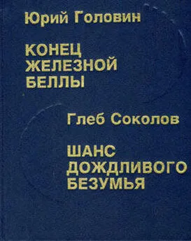 Глеб Соколов - Шанс дождливого безумия