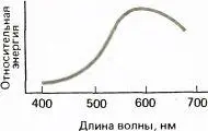 Рис 117 Большинство окрашенных объектов отражает свет энергия которого - фото 119