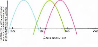 Рис 119 Спектры поглощения или кривые спектральной чувствительности у - фото 121