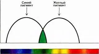 Рис 122 Синий фильтр пропускает довольно широкую спектральную полосу с - фото 124