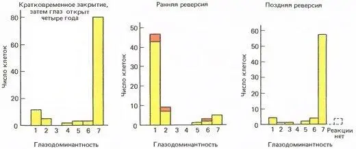 Рис 137 Слева у макака один глаз закрыли при рождении на 9 дней а затем - фото 140