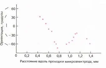 Рис 140 У новорожденного макака клетки коры проявляют примерно такую же - фото 143