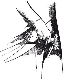 Рис 109 Рукоять меча Дитмара фон Кистерица Нюмбургский собор Тип P Я знаю - фото 112