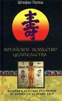 Штефан Палош - Китайское искусство целительства. История и практика врачевания от древности до наших дней