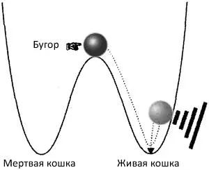 Рис 713Бугорусилитель который кратко иллюстрирует проблему измерений в - фото 87