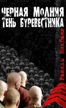 Равиль Бикбаев - Черная молния. Тень буревестника.