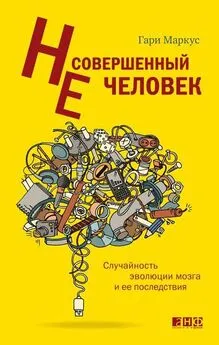 Гари Маркус - Несовершенный человек. Случайность эволюции мозга и ее последствия.