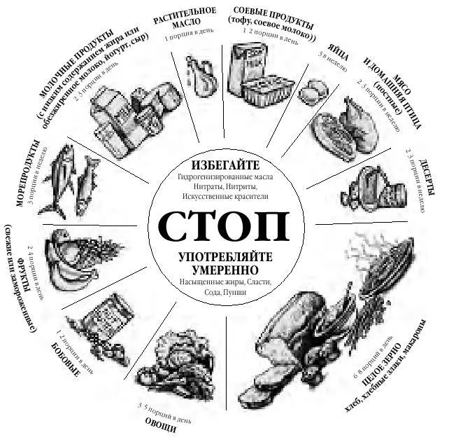 Круг продуктов питания РЕЗУЛЬТАТЫ ПРИМЕНЕНИЯ СИСТЕМЫ ПОХУДЕНИЯ То что - фото 33