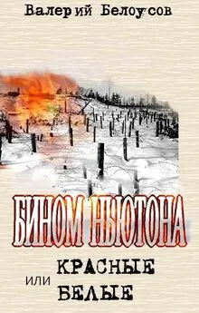 Валерий Белоусов - Бином Ньютона, или Красные и Белые. Ленинградская сага.