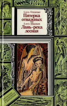 Александр Осипенко - Пятёрка отважных. Лань — река лесная