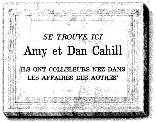 SE TROUVE ICI Amy et Dan Cahill ILS ONT COLLELEURS NEZ DANS LES AFFAIRES - фото 8