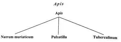 Больной Apis имеет сильнейшую туберкулиновую интоксикацию Острое воспаление и - фото 9