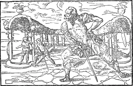 Рис 12 Из книги Мейера 1570 год Член Братства Святого Марка наставляющий - фото 13