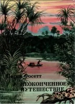 Перси Фосетт - Неоконченное путешествие