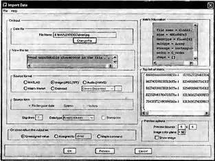Рис 29 Окно ассистента импорта данных системы Maple 10 В этом окне дана - фото 107