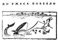 В Атлантическом океане обитает удивительная рыба номихтис Её можно - фото 50