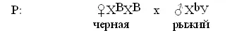Ошибка источник перекрестной ссылки не найден Ответ BF 1при скрещивании - фото 9