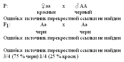Ответ при скрещивании чистопородного черного быка с красными коровами все - фото 15