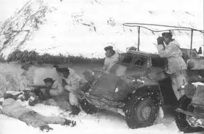 Германские военнослужащие в ходе антипартизанской операции 24 августа 1943 г - фото 38