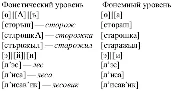 Поскольку в практическом письме обозначаются лишь фонемы то описывать - фото 4