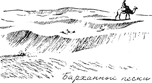 Песчаная земля не только впитывает дождевые капли но и сгущает водяные пары в - фото 36