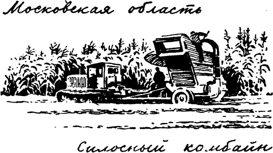 Юг попрежнему остался главным рисовым районом Посевы риса на юге должны быть - фото 169
