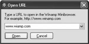 Рис 126 Окно для ввода адреса сайта Программа Winamp предоставляет - фото 129