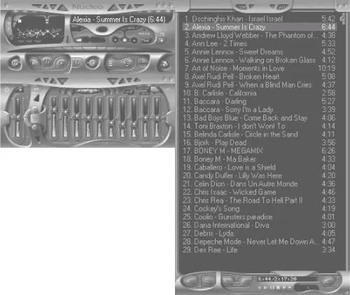 Рис 129 Изменный внешний вид Winamp Если у вас в меню нет названий модулей - фото 132