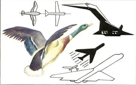 58 Проектирование самолета на основе формы птицы 59 Пример переноса - фото 85