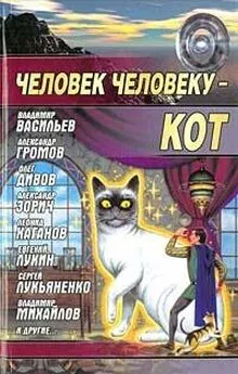 Виталий Каплан - Корона