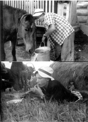 Сентябрь 1960 г Томская область деревня Старокусково В Маложирово мы - фото 16