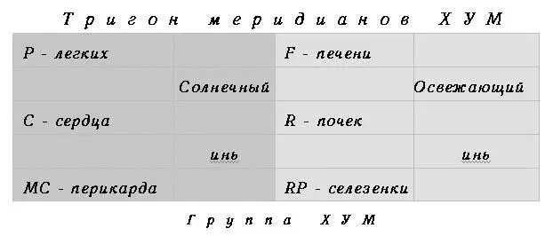 Я помог Дуну и сказал Пример тригона то есть треугольника ты видишь на - фото 2