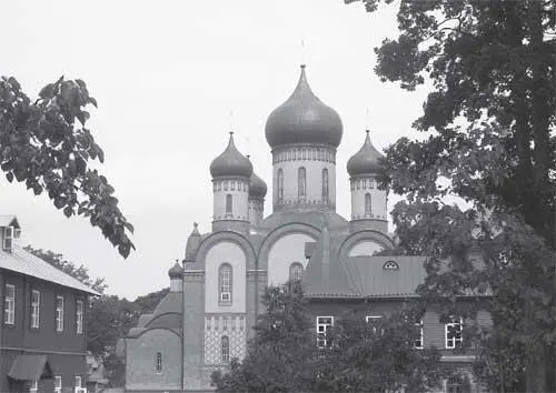 Пюхтицы Успенский женский монастырь в Куремяэ Август 2010 г Фото автора - фото 166