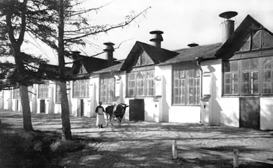 Совхоз Лесное фото конца 1930х гг Из фондов ЦГАКФФД СанктПетербурга В - фото 110