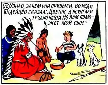 Узнав зачем они прибыли вождь индейцев сказал Цветок джунглей трудно найти - фото 11