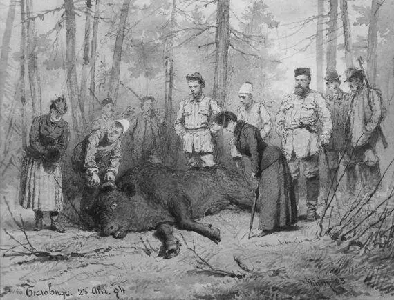 Император Александр III на охоте в Беловеже 25 августа 1894 г Акварель М - фото 65