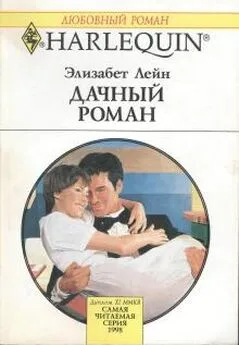 Элизабет Лейн - Дачный роман