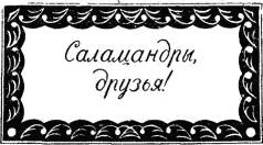 Общество взаимопомощи бывших моряков Клуб пловцов в Эгире Особенно важным - фото 18
